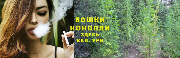 хмурый Богородицк