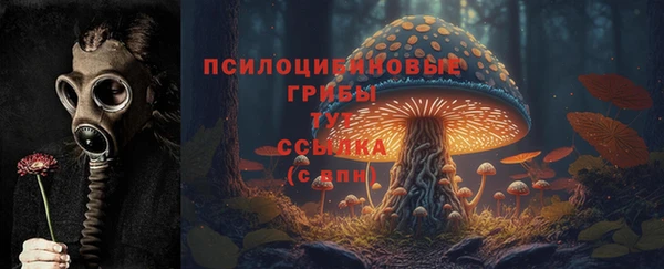 ECSTASY Белоозёрский