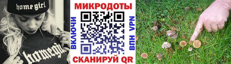 Псилоцибиновые грибы прущие грибы  Феодосия 